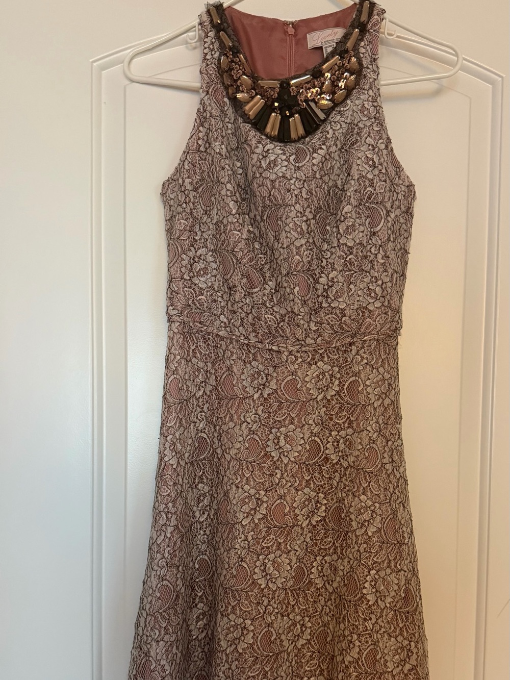 Adrianna Papell Blush Lace Midi Dress